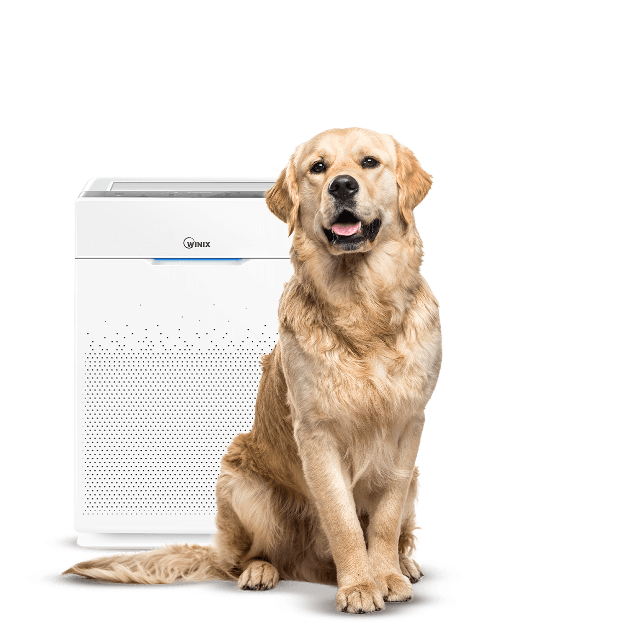 WINIX luchtreiniger naast een golden retriever