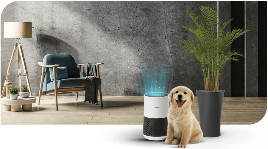 WINIX ZERO COMPACT naast een hond en kamerplanten WINIX Plasmawave technologie